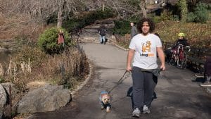 NYC dog walker Kris
