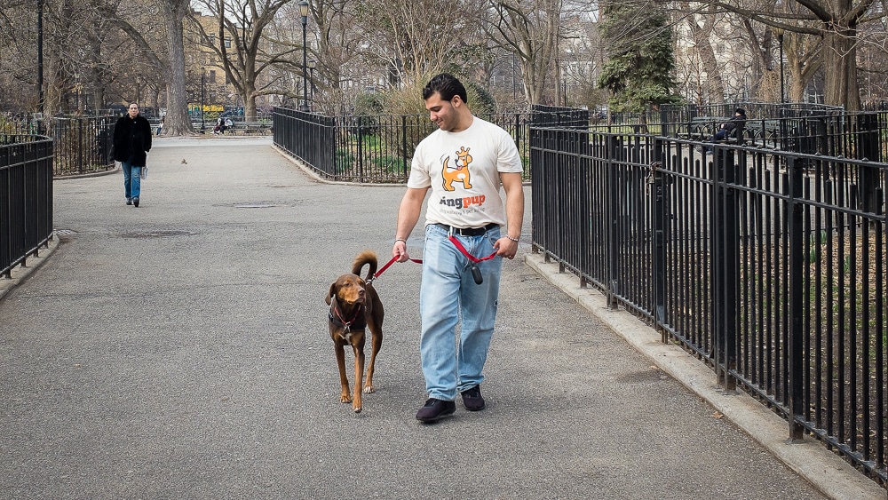 NYC dog walker Martin