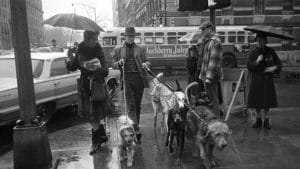 Jim Buck, NYC's first professional dog walker